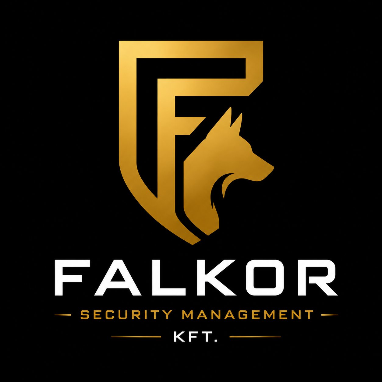 Falkor Security logó